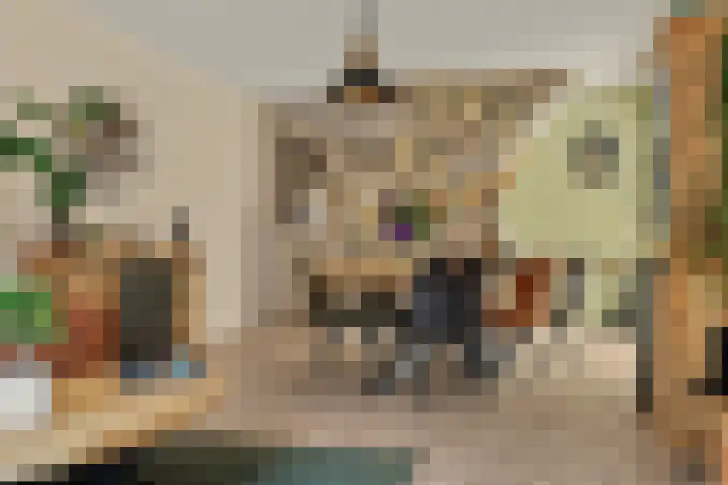 Batiststraat 1 's-Gravendeel thumbnail 8