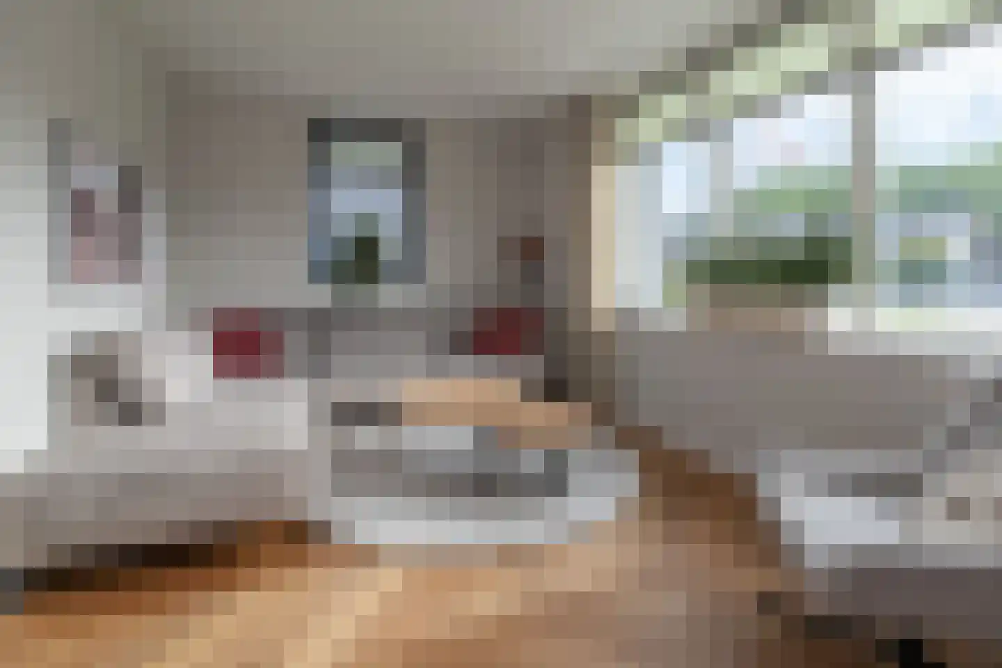Batjan 11 Barneveld thumbnail 10