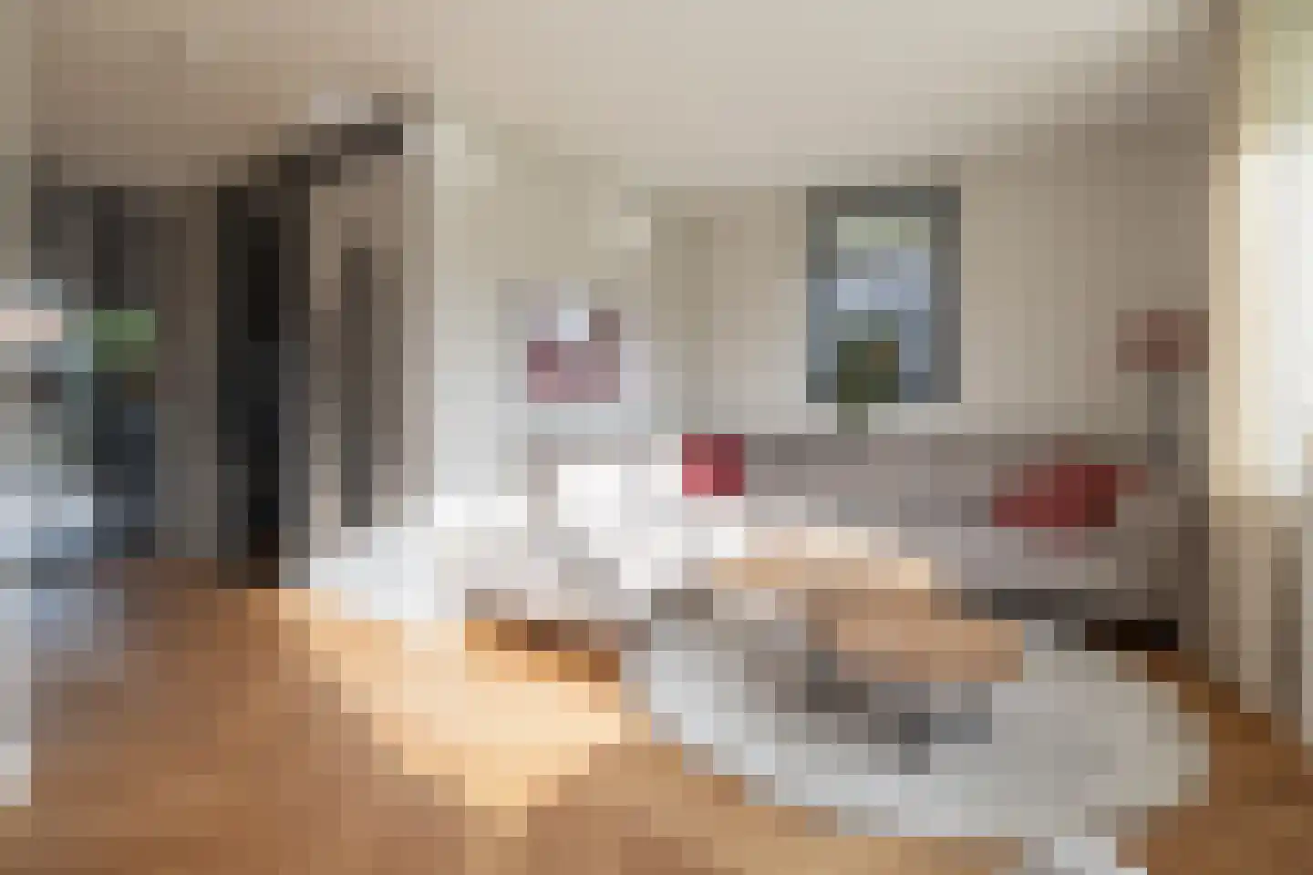 Batjan 11 Barneveld thumbnail 12