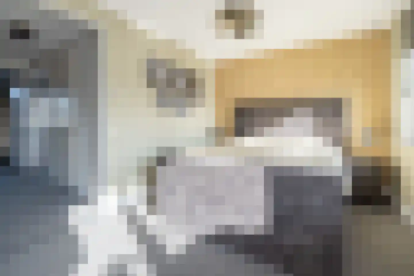 Batjan 11 Barneveld thumbnail 28