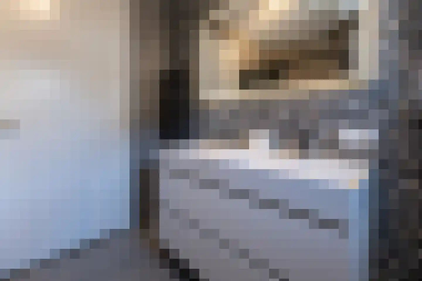 Batjan 11 Barneveld thumbnail 35