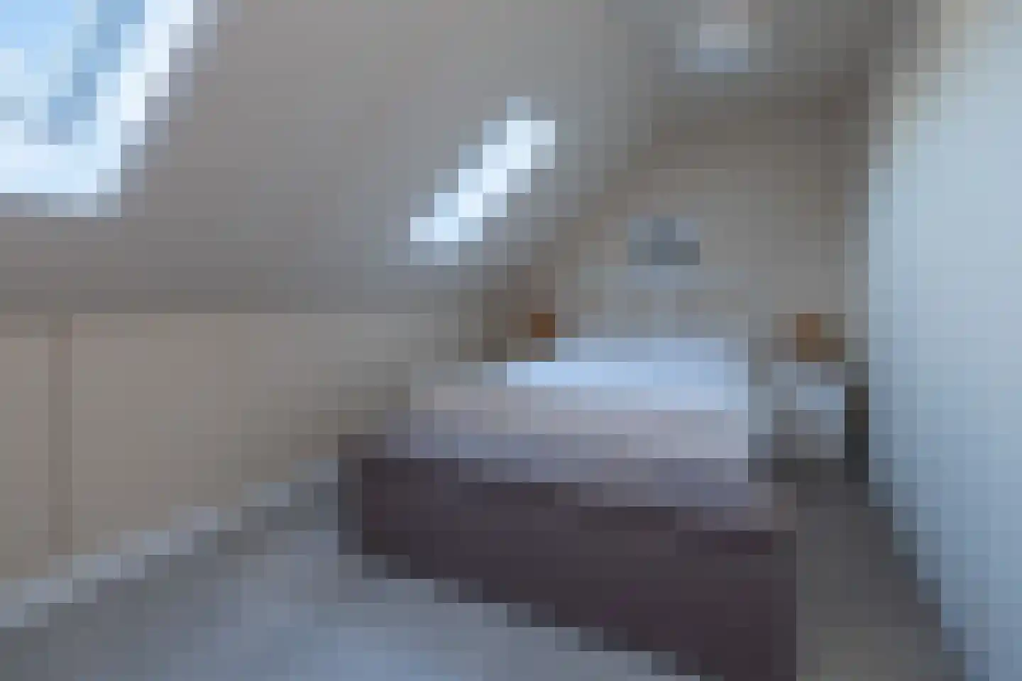 Batjan 11 Barneveld thumbnail 39