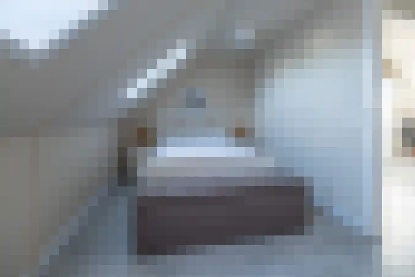 Batjan 11 Barneveld thumbnail 41