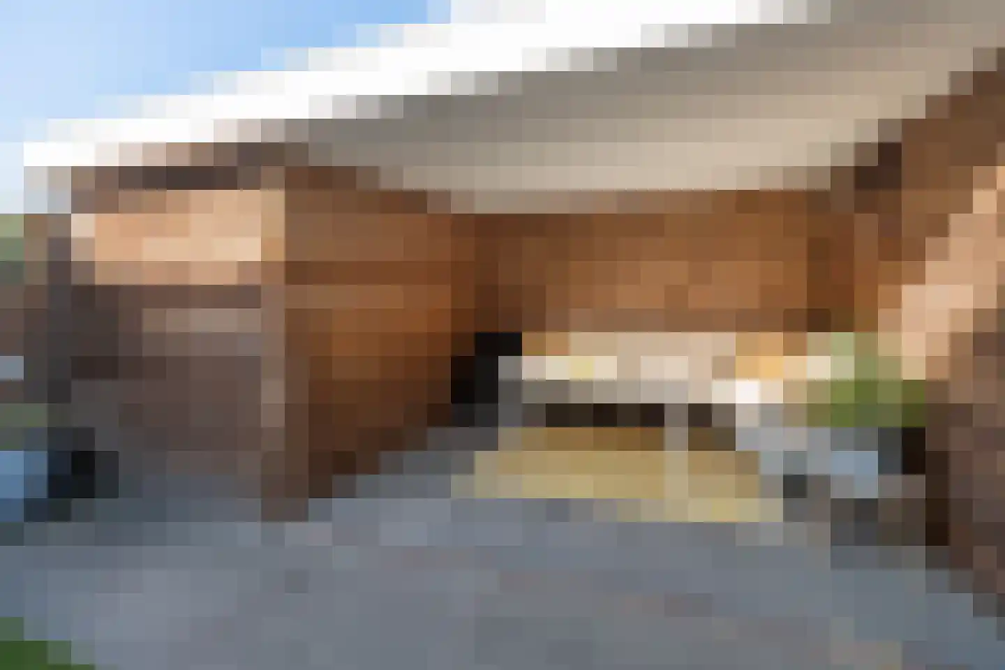 Batjan 11 Barneveld thumbnail 49