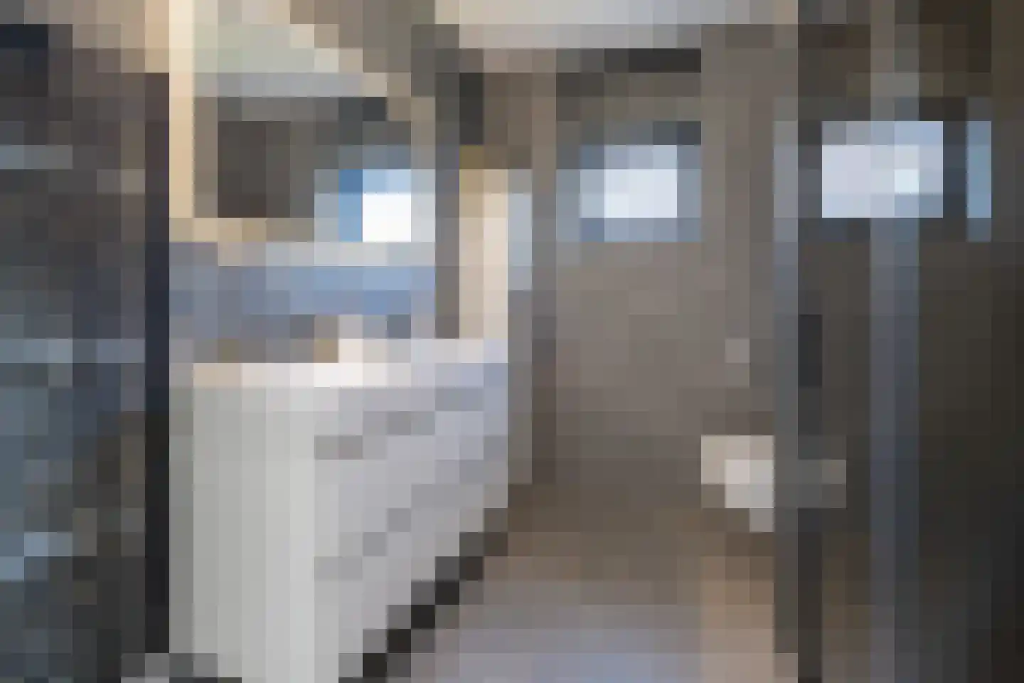 Batjan 11 Barneveld thumbnail 5