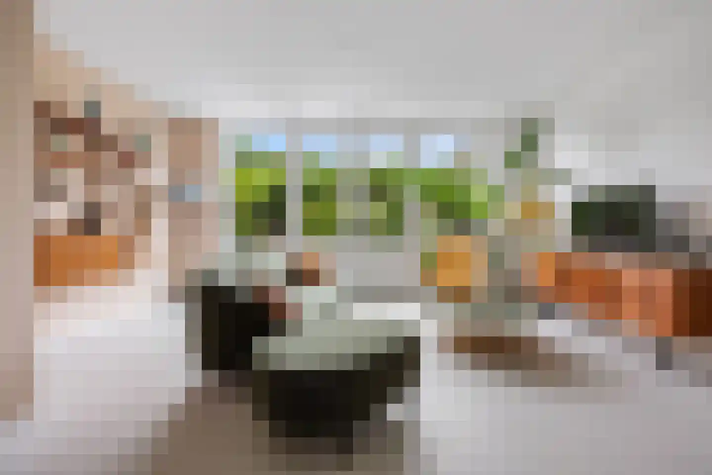 Batjan 20 Barneveld thumbnail 10
