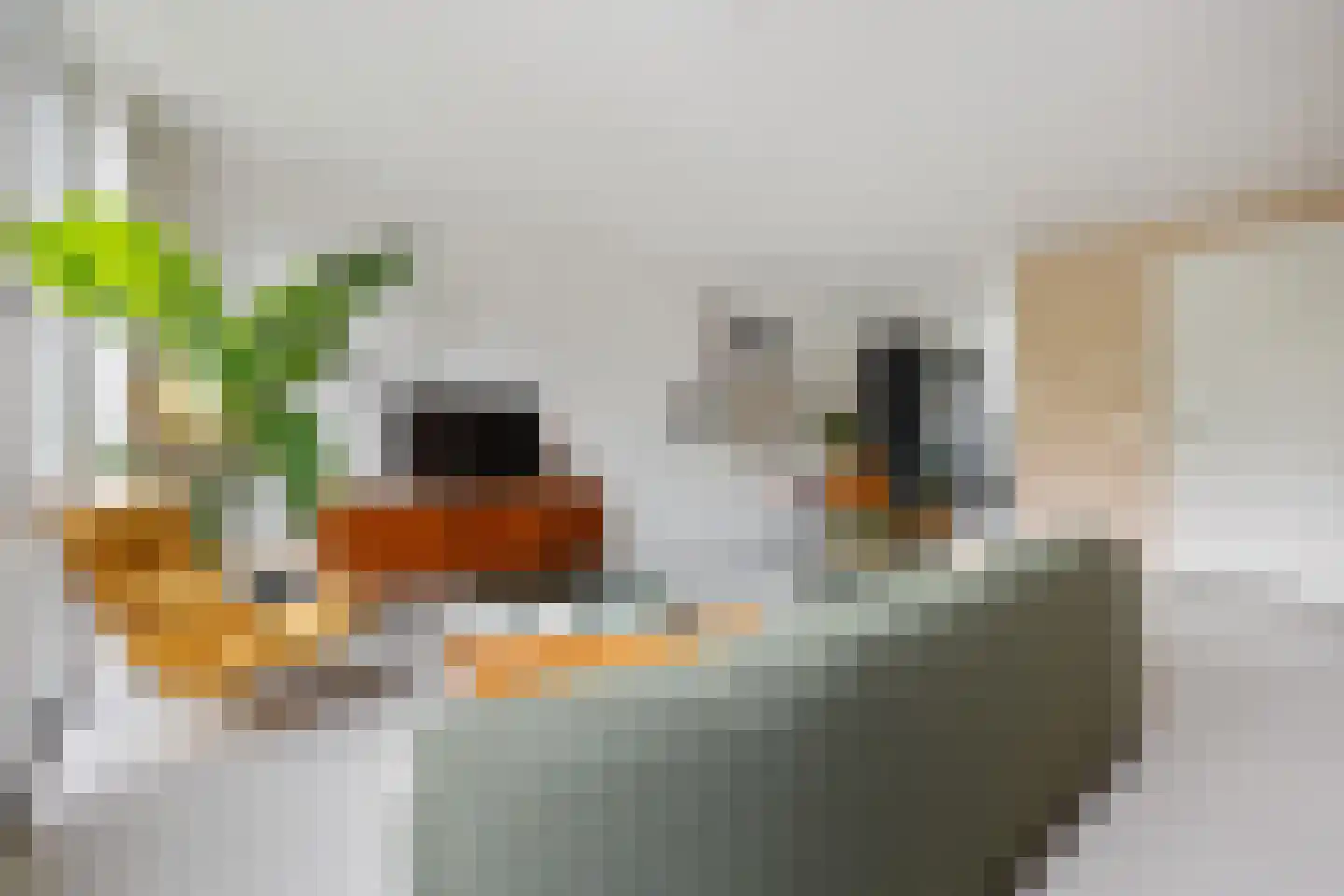 Batjan 20 Barneveld thumbnail 12