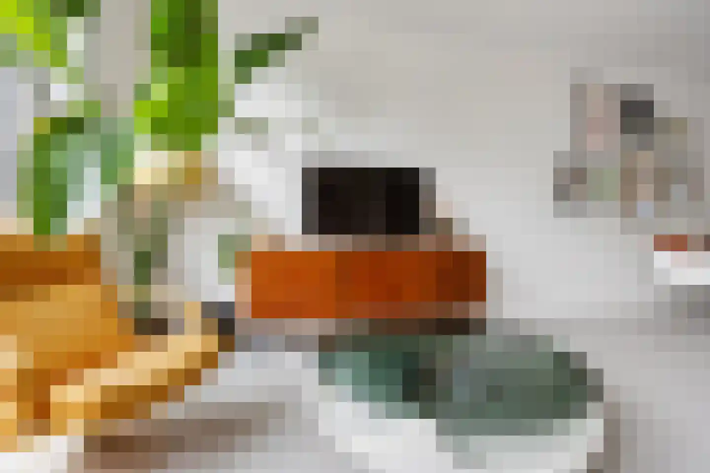 Batjan 20 Barneveld thumbnail 13