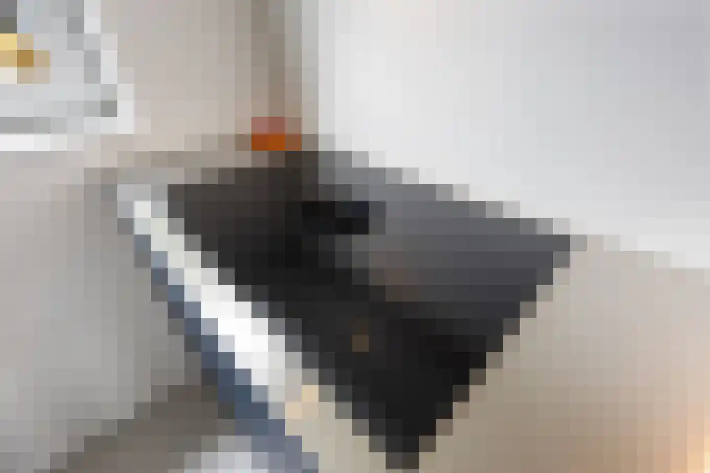 Batjan 20 Barneveld thumbnail 17