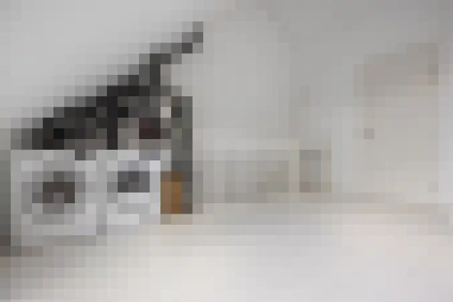 Batjan 20 Barneveld thumbnail 30