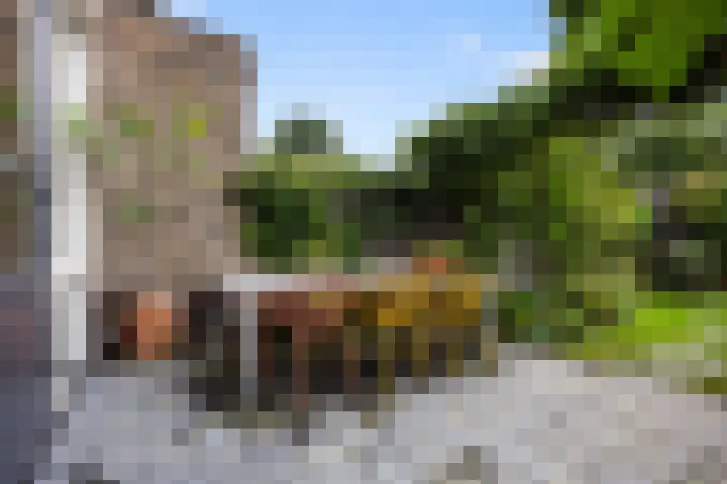 Batjan 20 Barneveld thumbnail 35