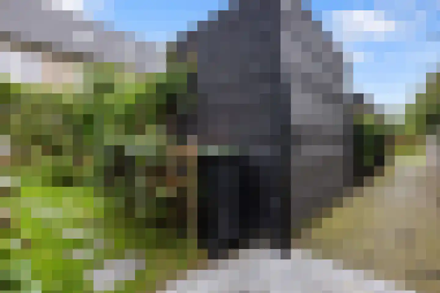 Batjan 20 Barneveld thumbnail 37