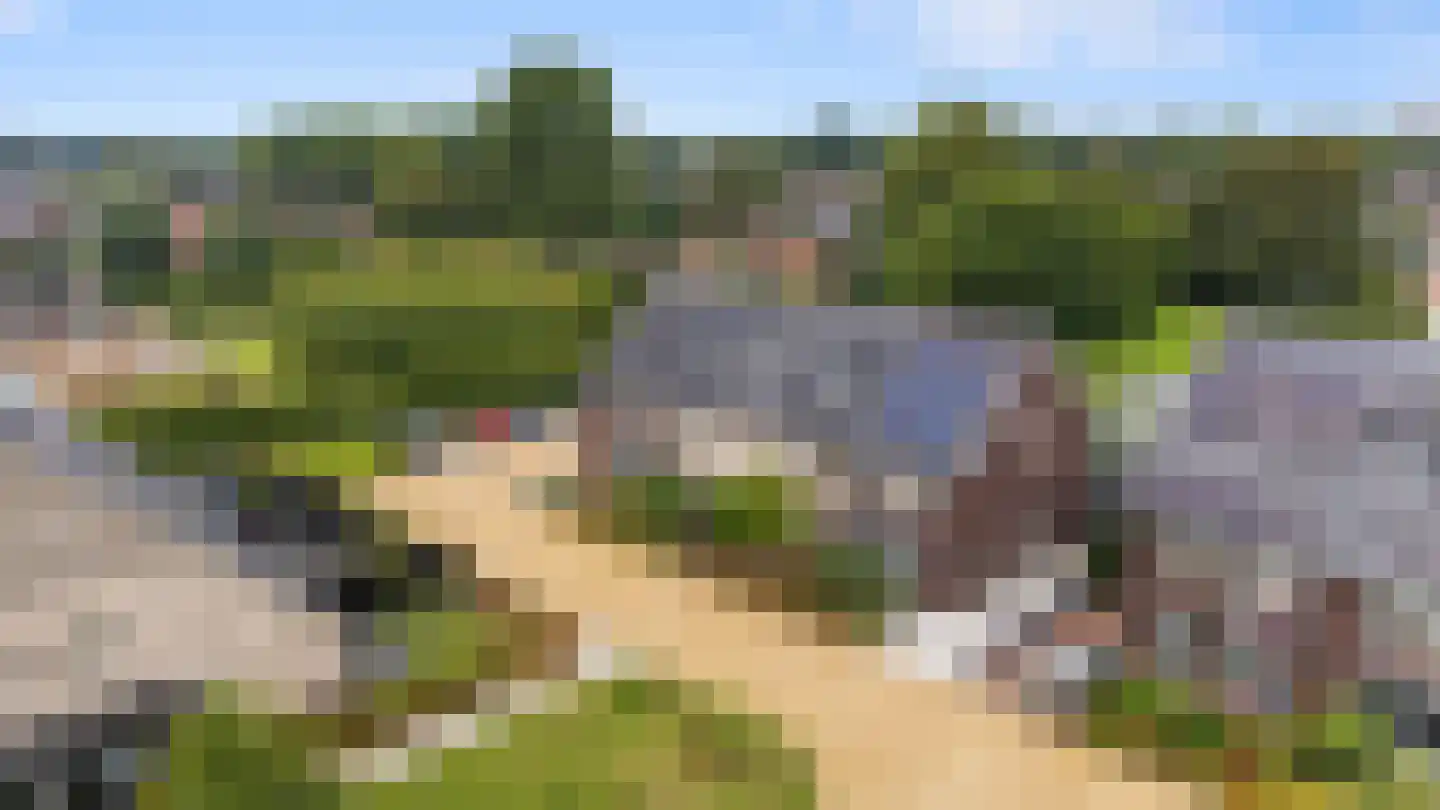 Batjan 20 Barneveld thumbnail 39