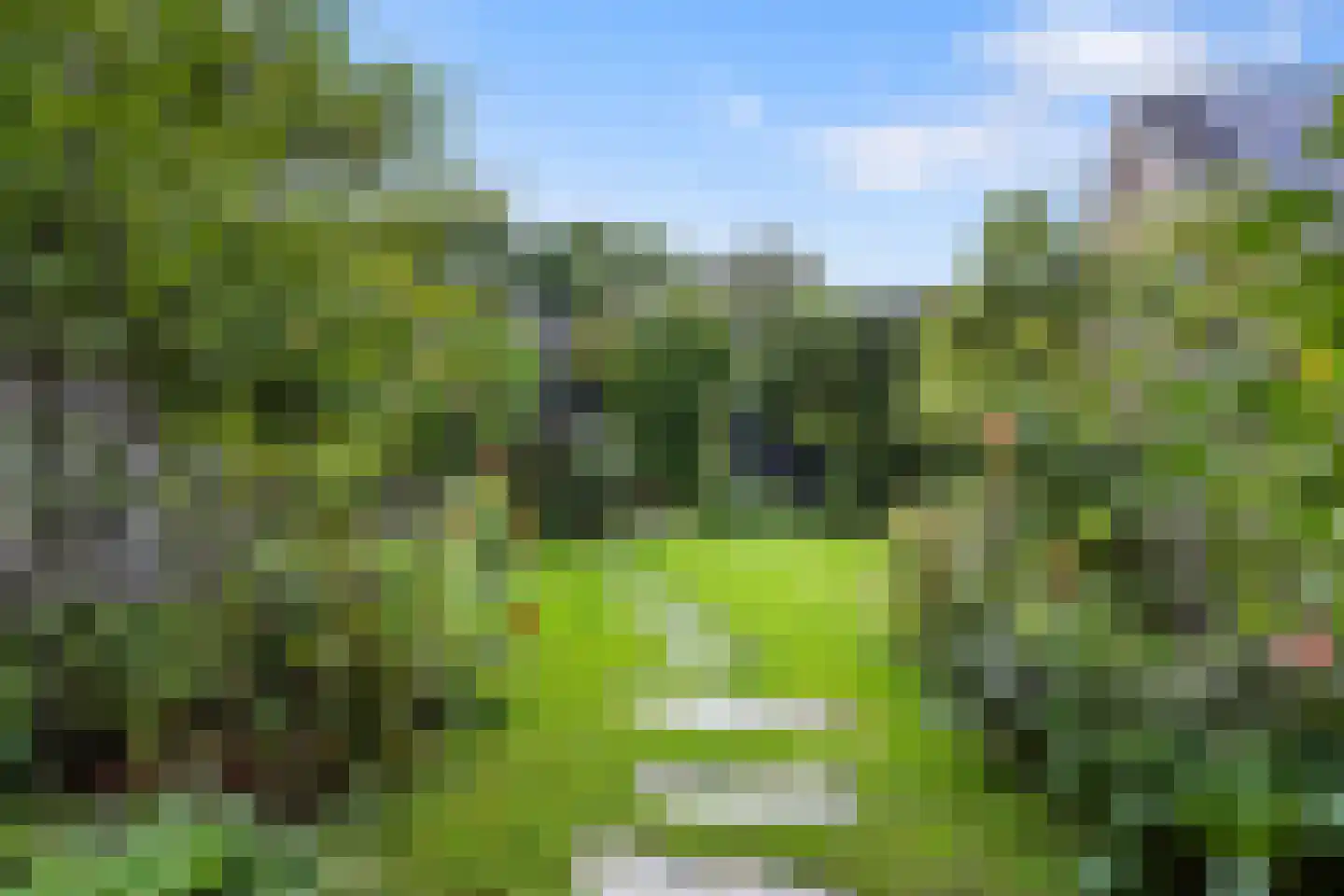 Batjan 20 Barneveld thumbnail 4