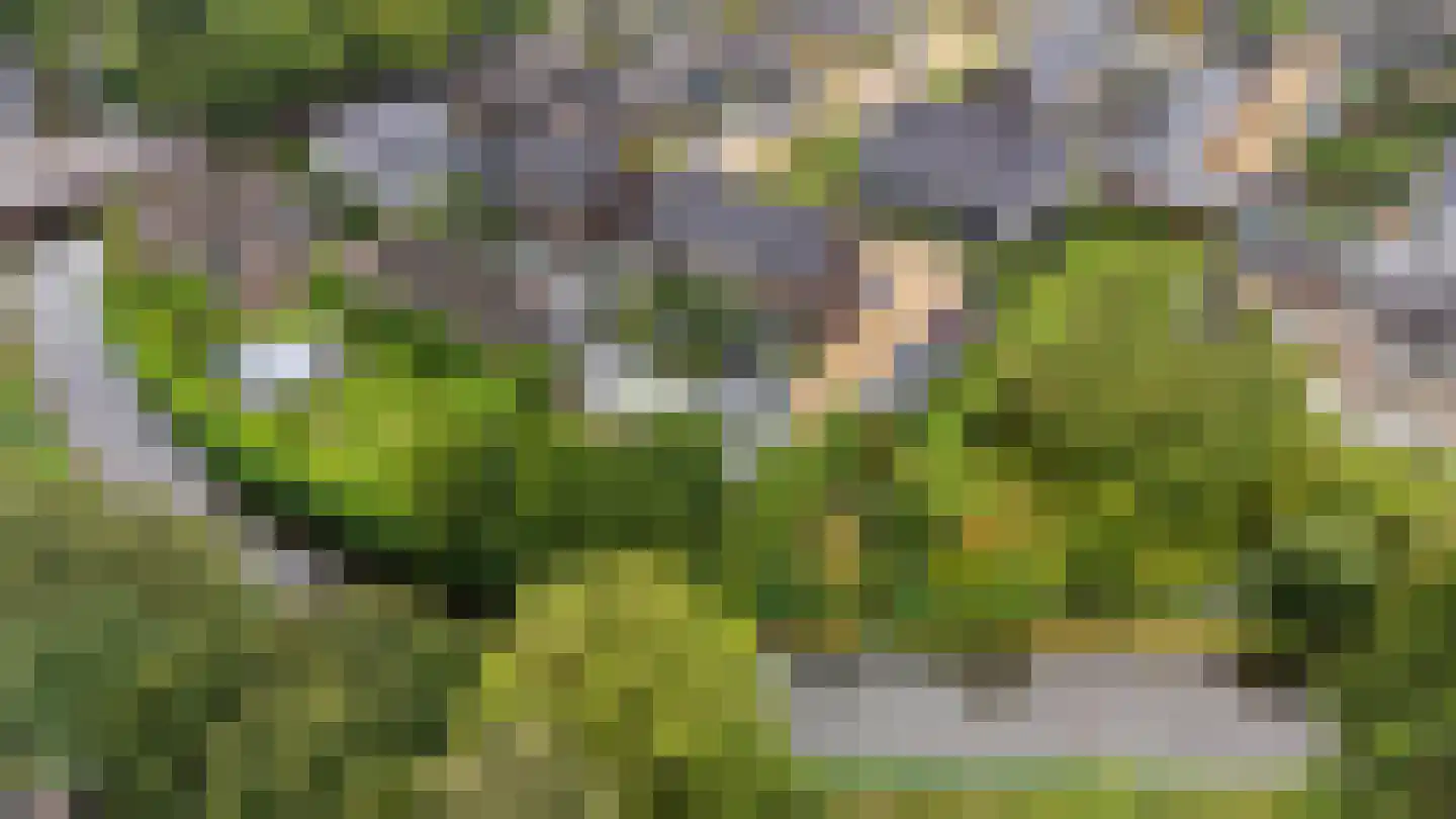 Batjan 20 Barneveld thumbnail 5