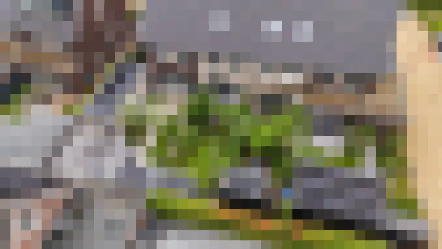 Batjan 20 Barneveld thumbnail 6