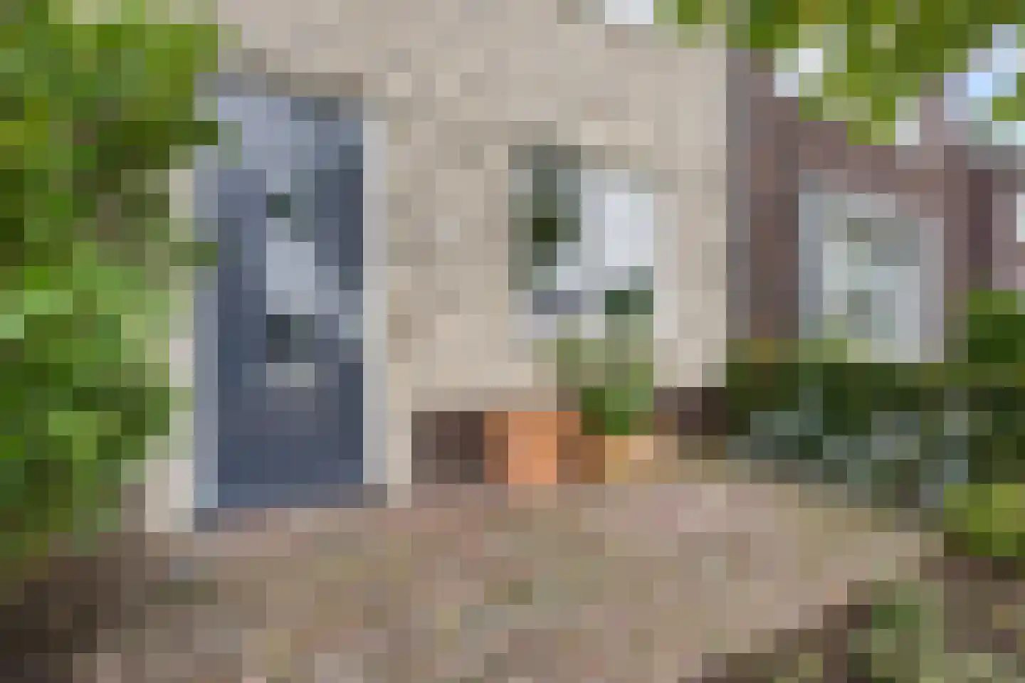 Batjan 20 Barneveld thumbnail 7