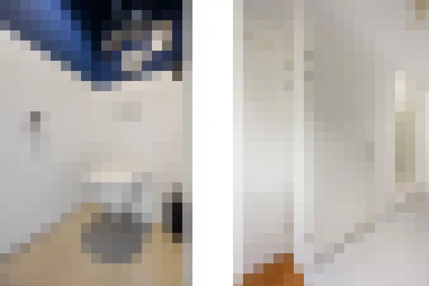 Batjan 20 Barneveld thumbnail 9