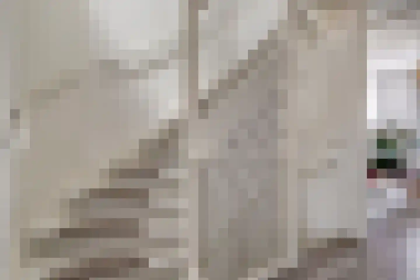 Batjan 9 Barneveld thumbnail 26