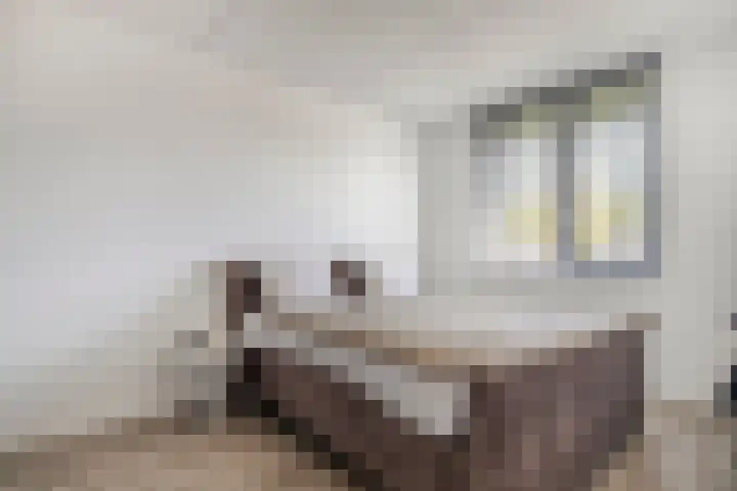 Batjan 9 Barneveld thumbnail 29