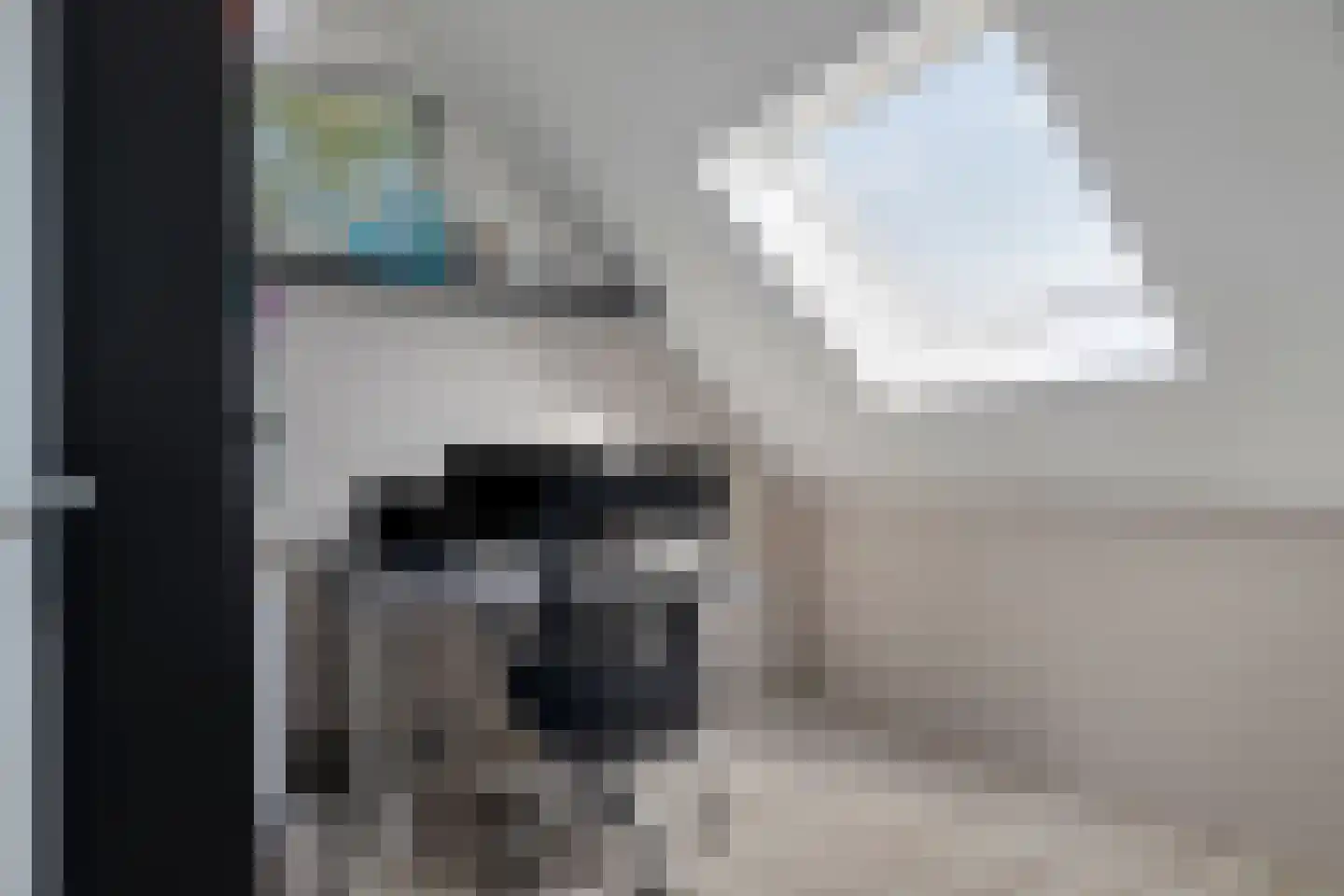 Batjan 9 Barneveld thumbnail 35
