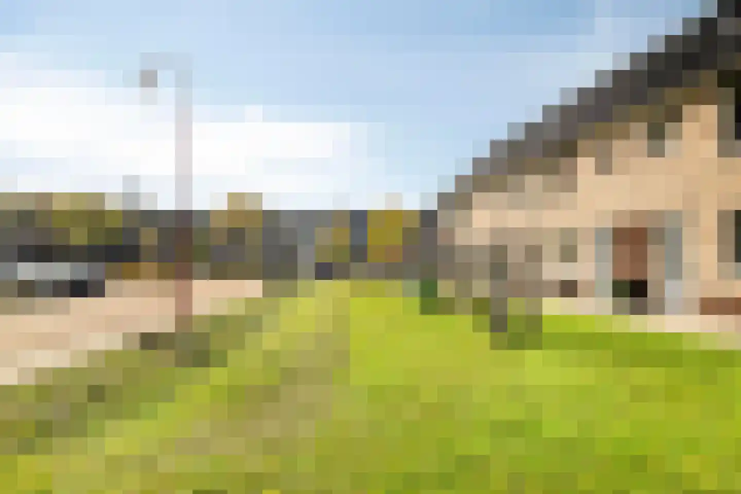 Batjan 9 Barneveld thumbnail 41