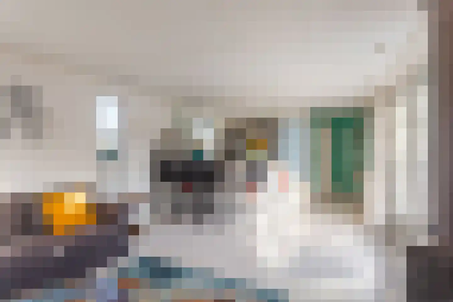 Bato'sweg 11 C 15 Putten thumbnail 10