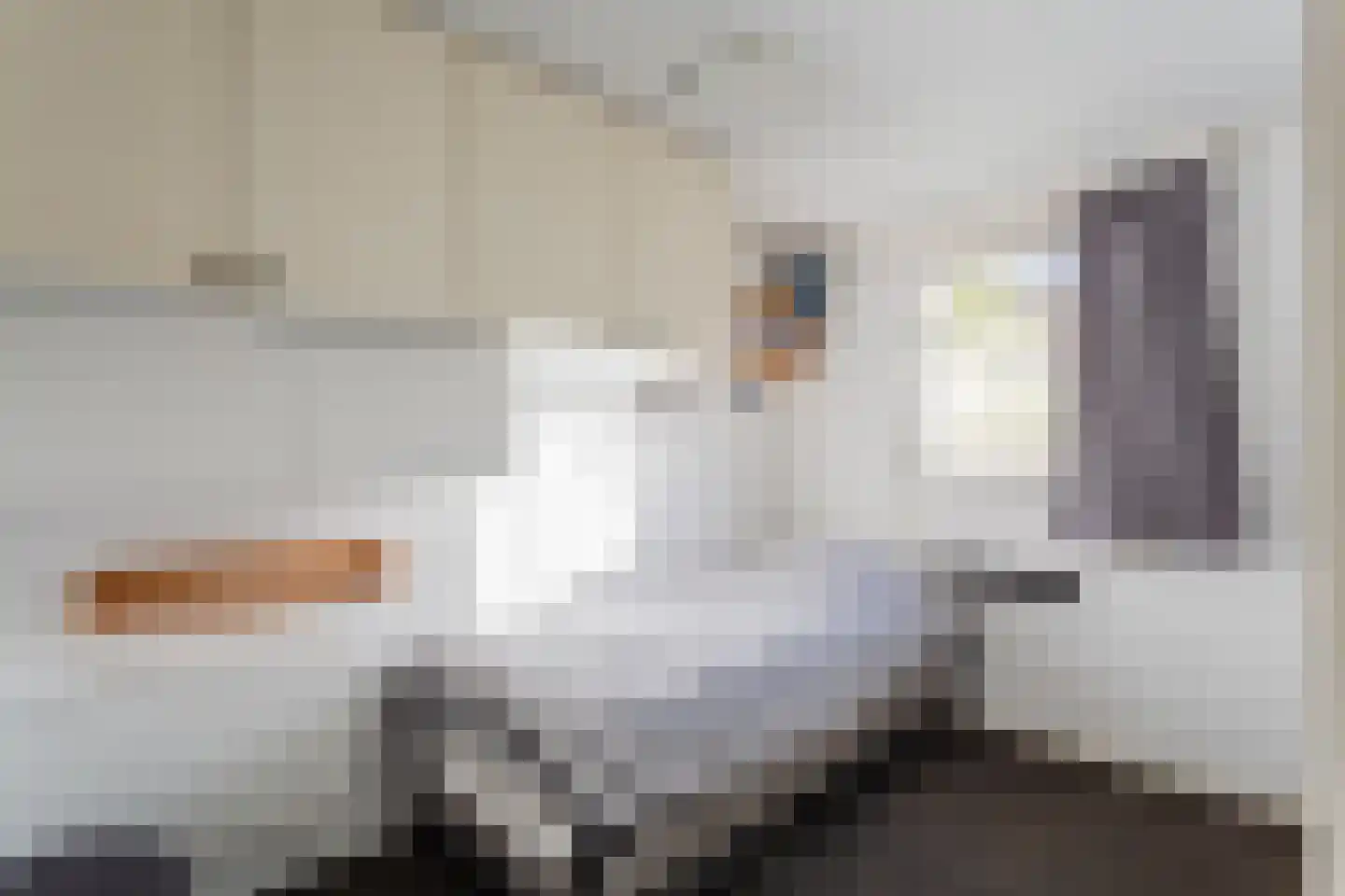 Bato'sweg 11 C 15 Putten thumbnail 20