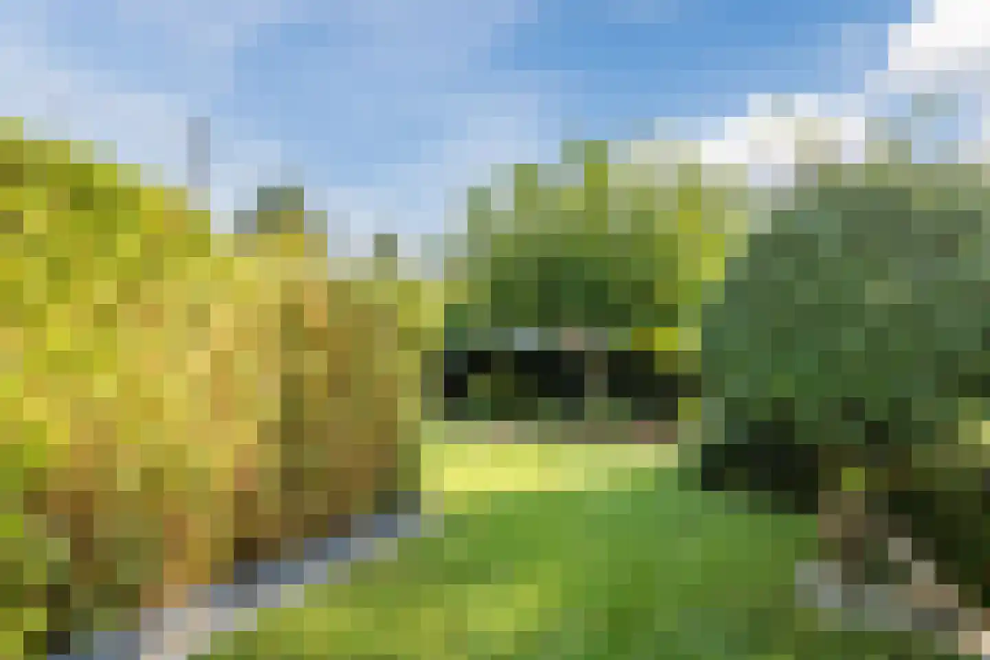 Bato'sweg 11 C 15 Putten thumbnail 36