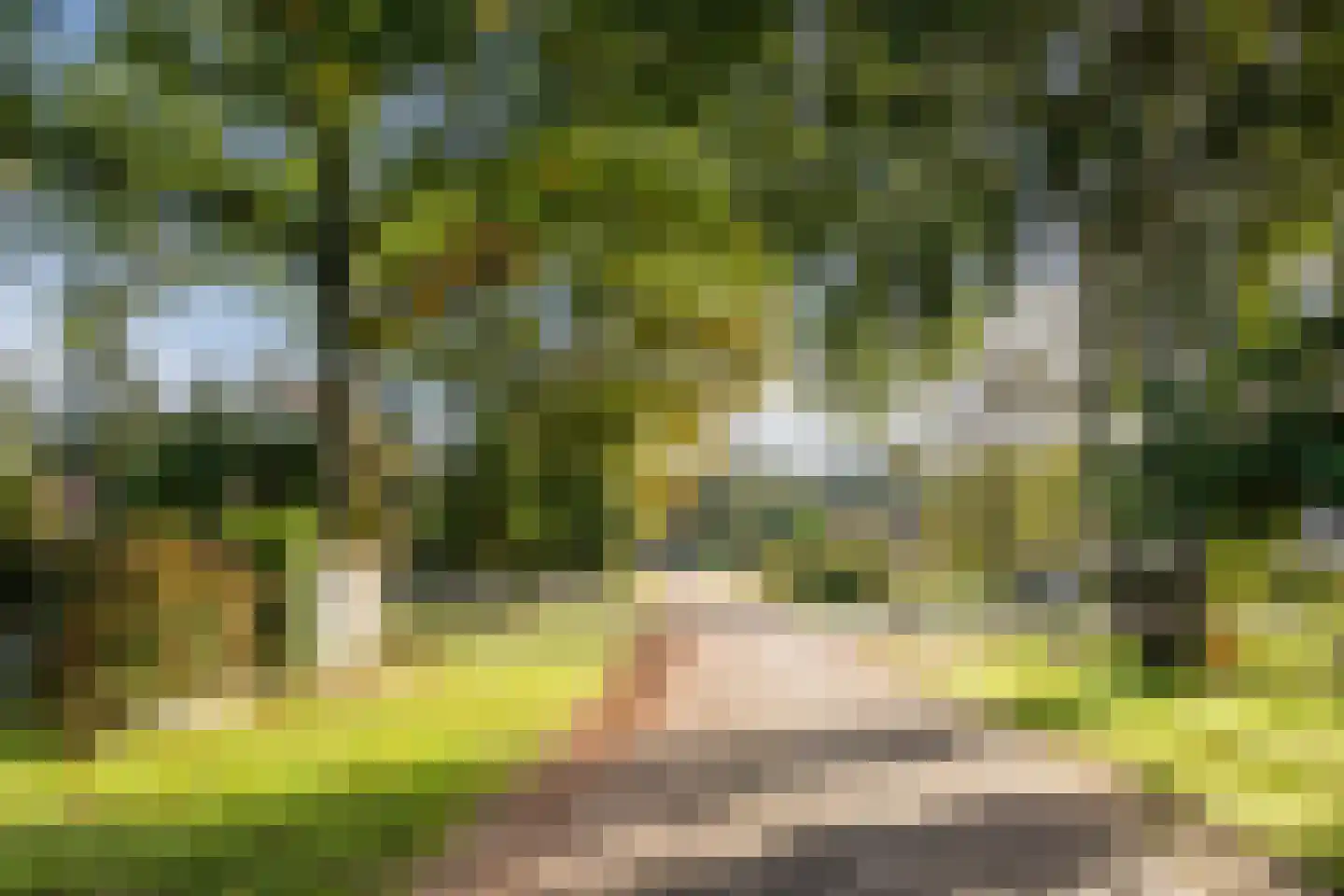 Bato'sweg 11 C 15 Putten thumbnail 41