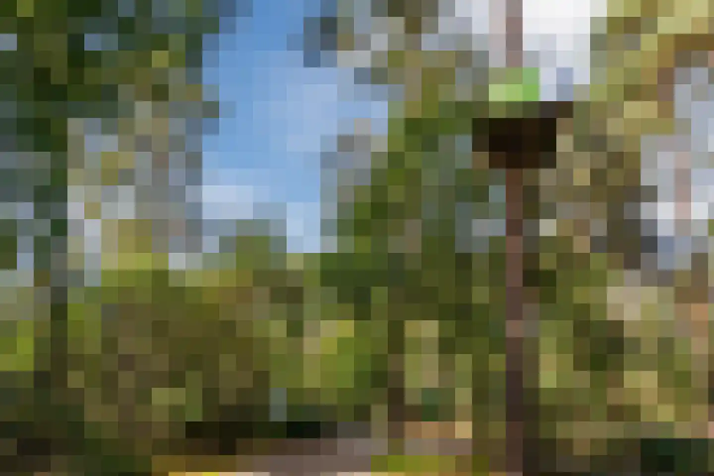 Bato'sweg 11 C 15 Putten thumbnail 43
