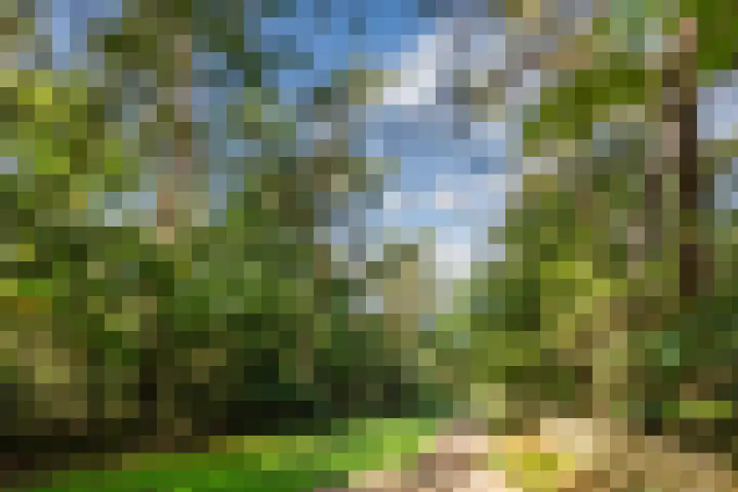 Bato'sweg 11 C 15 Putten thumbnail 44
