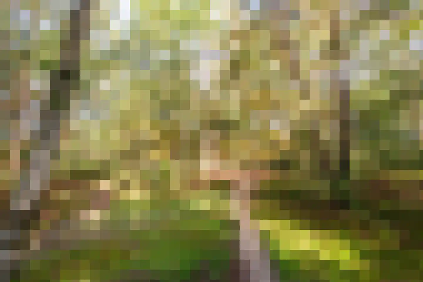 Bato'sweg 11 C 15 Putten thumbnail 45