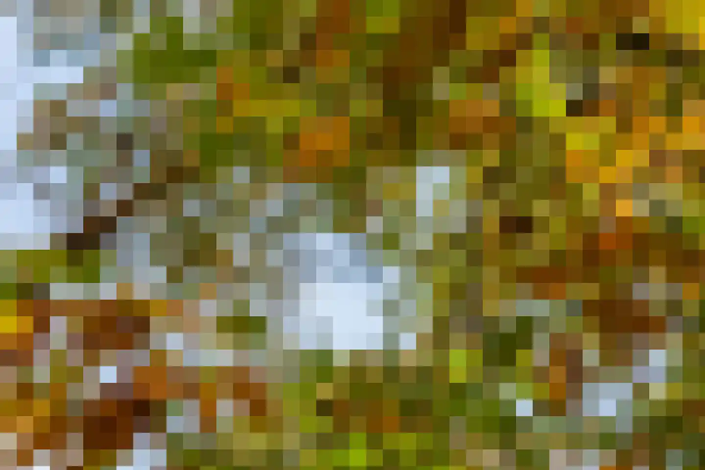 Bato'sweg 11 C 15 Putten thumbnail 46