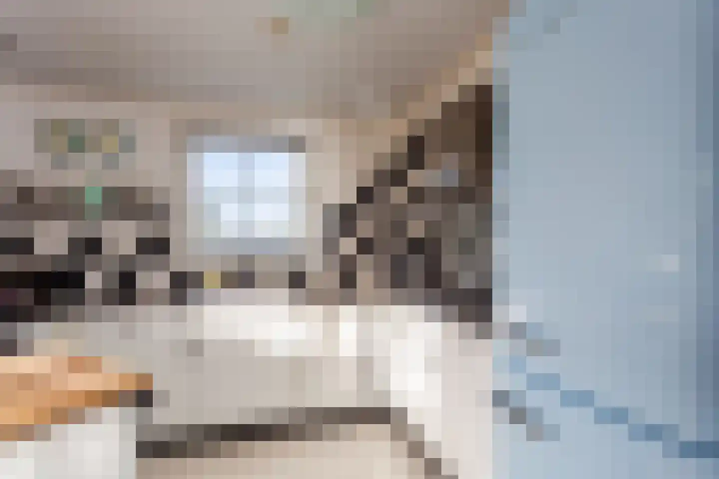 Bato'sweg 11 C 15 Putten thumbnail 7