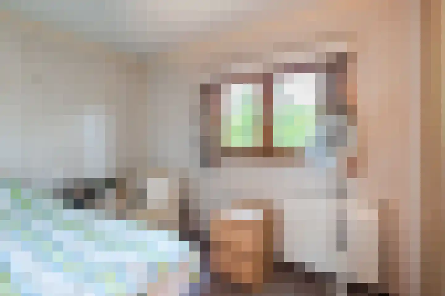 Bato'sweg 11 C 37 Putten thumbnail 16