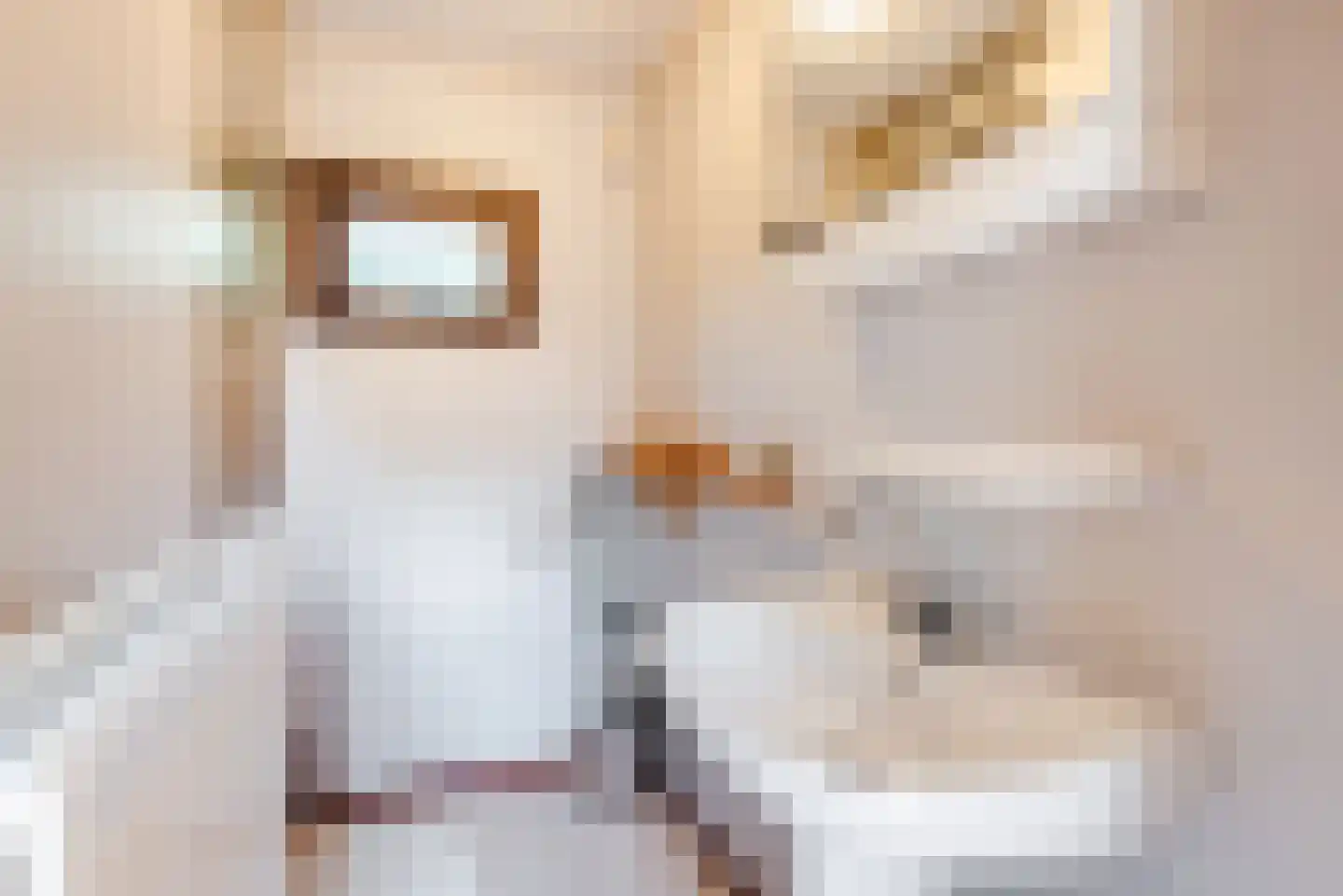 Bato'sweg 11 C 37 Putten thumbnail 19