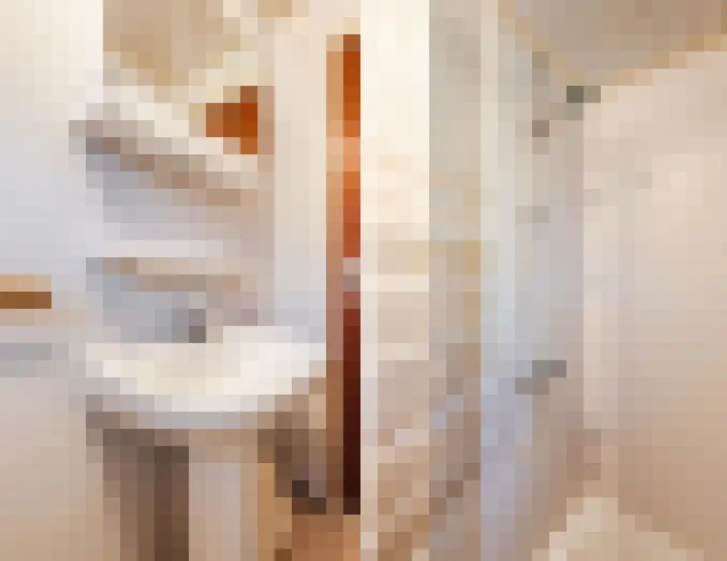 Bato'sweg 11 C 37 Putten thumbnail 21
