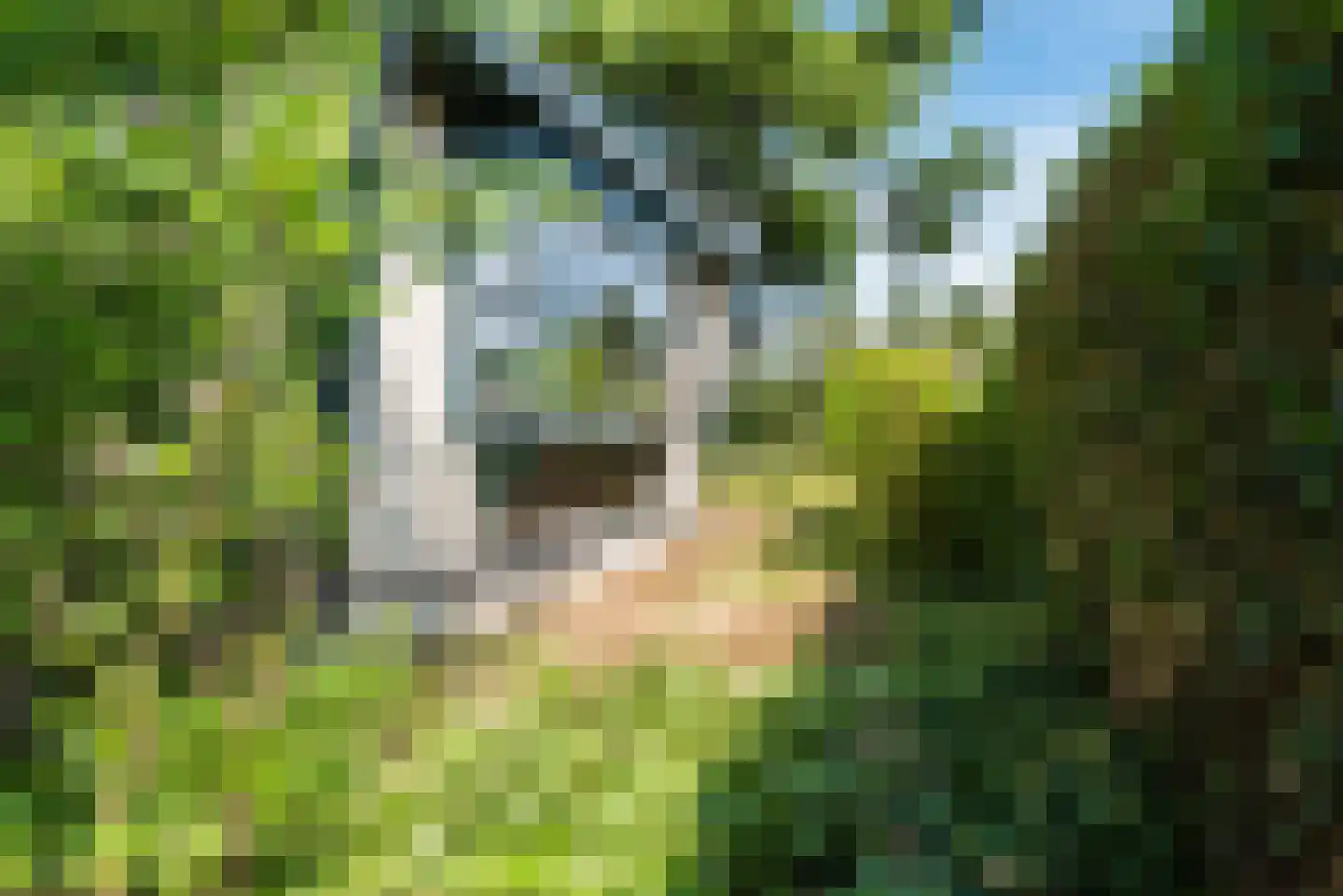 Bato'sweg 11 C 37 Putten thumbnail 30