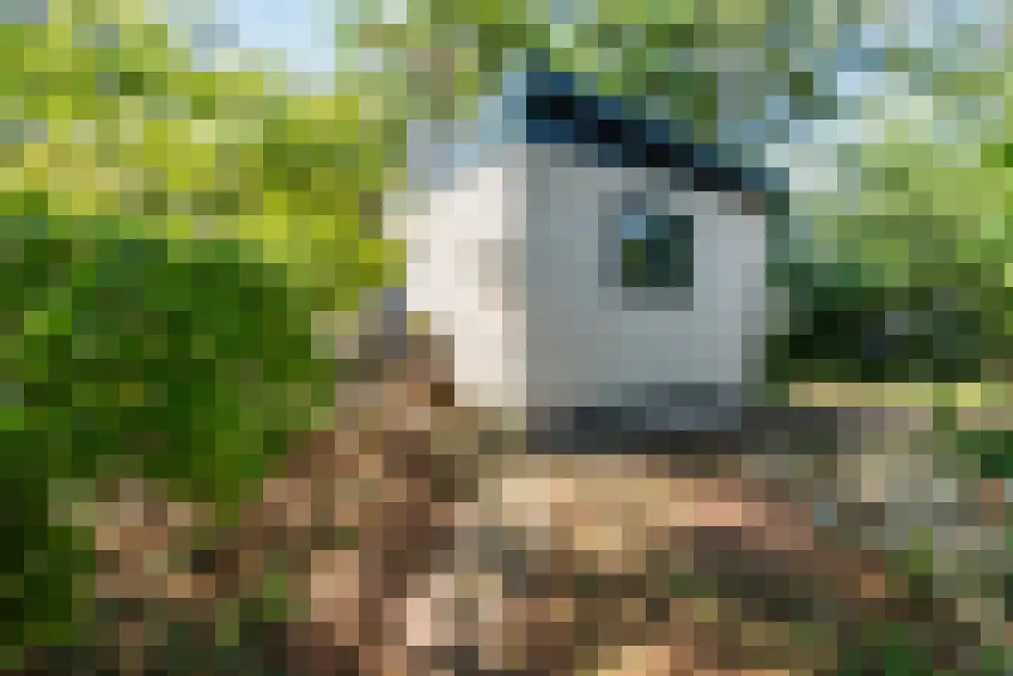 Bato'sweg 11 C 37 Putten thumbnail 31
