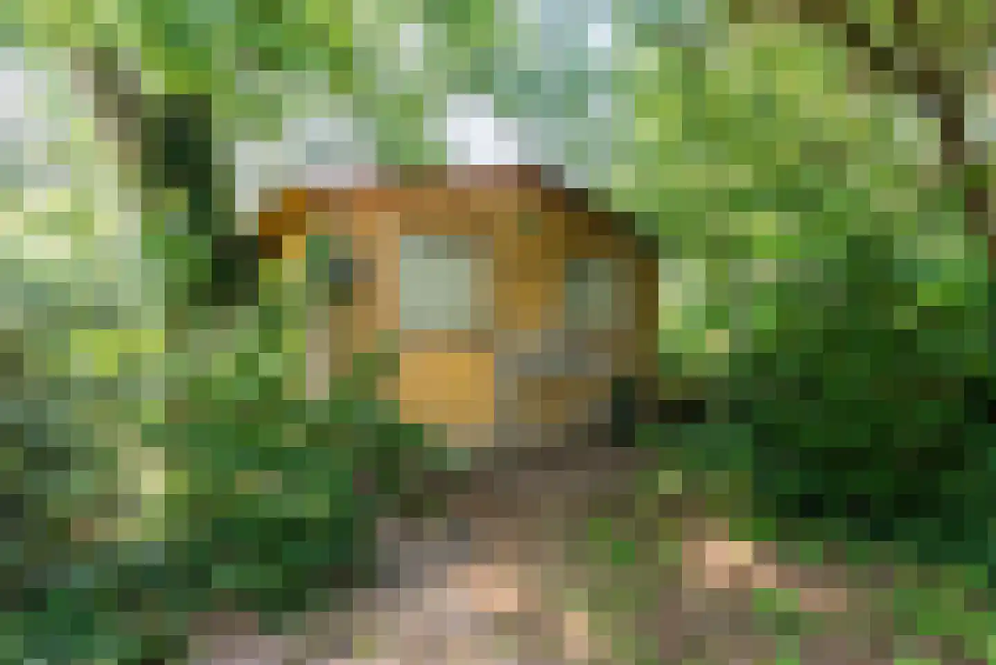 Bato'sweg 11 C 37 Putten thumbnail 34