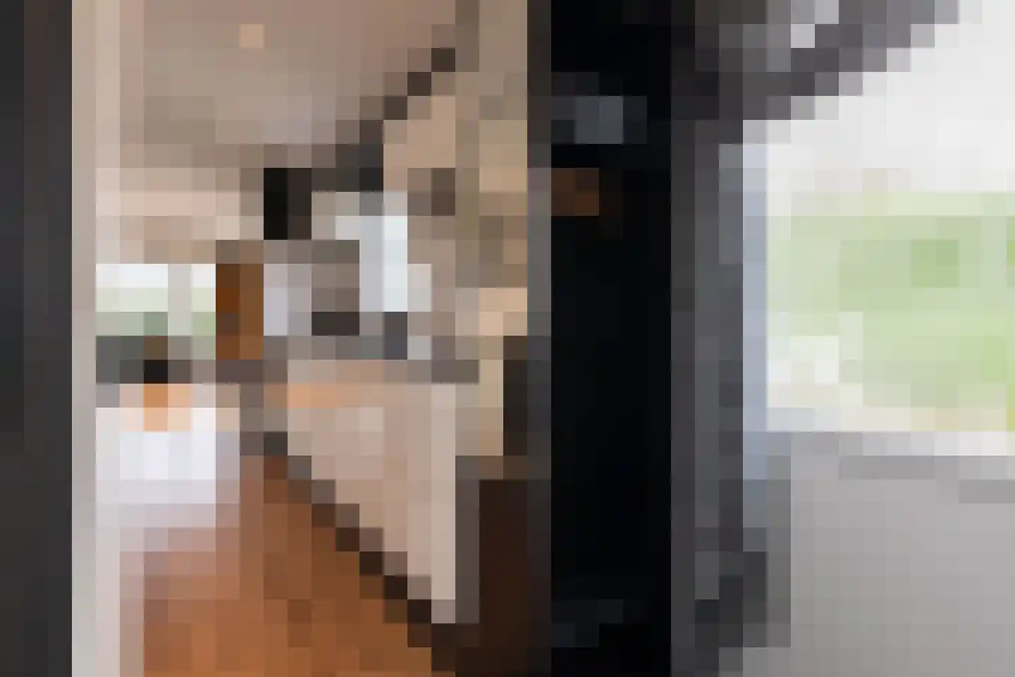 Bato'sweg 11 C 39 Putten thumbnail 11