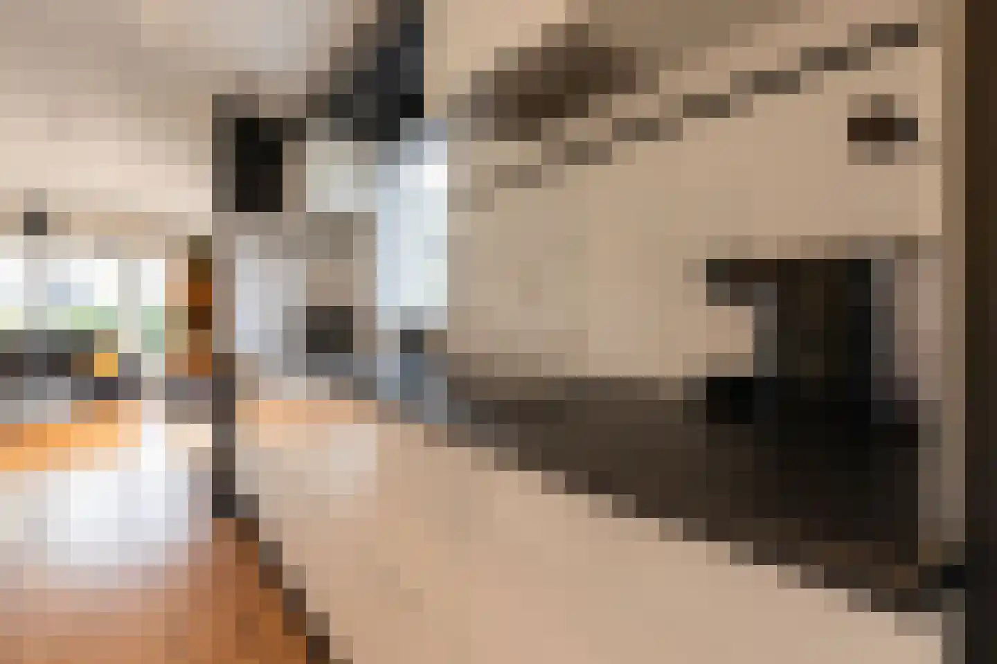 Bato'sweg 11 C 39 Putten thumbnail 13
