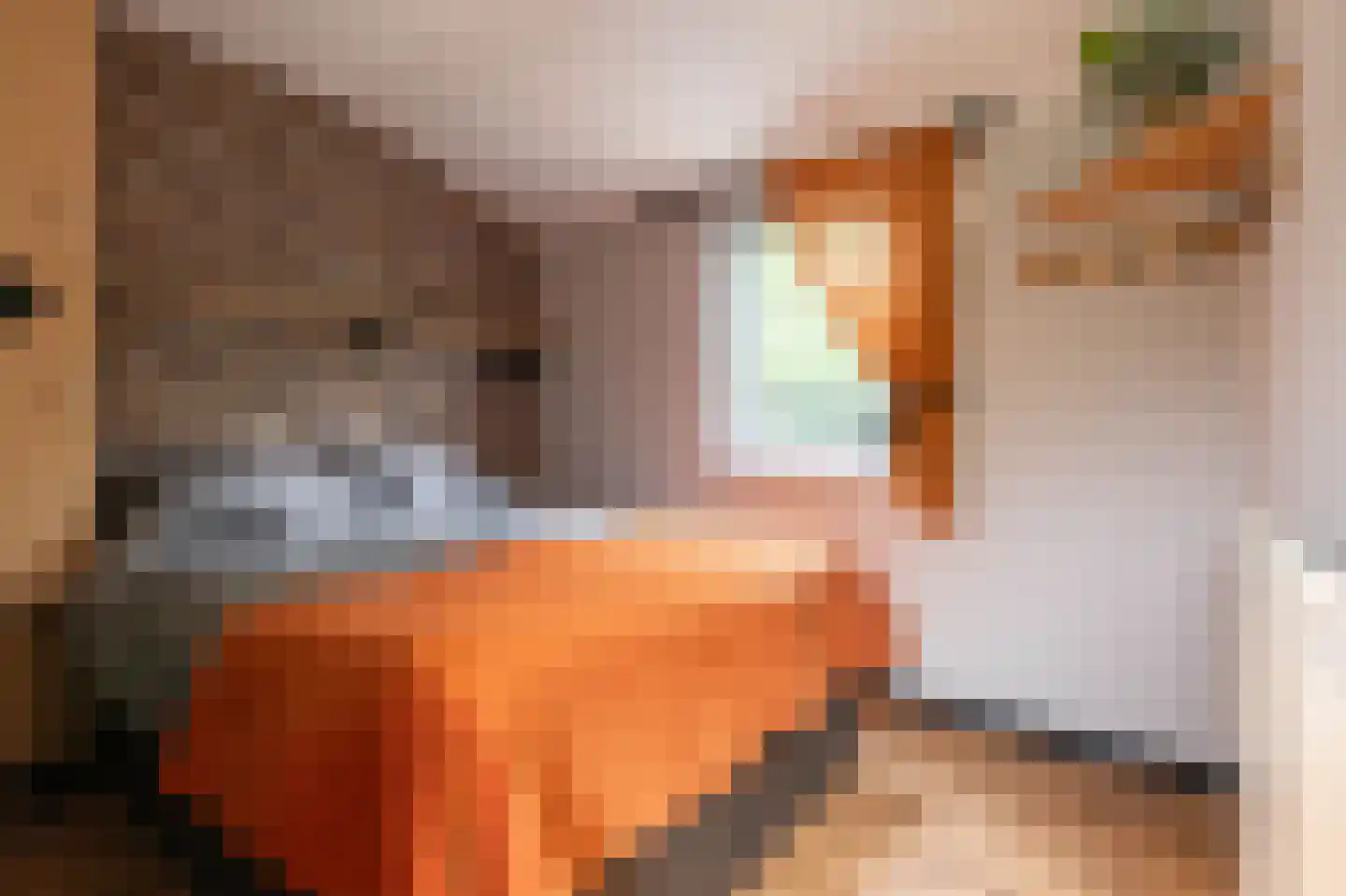 Bato'sweg 11 C 39 Putten thumbnail 21