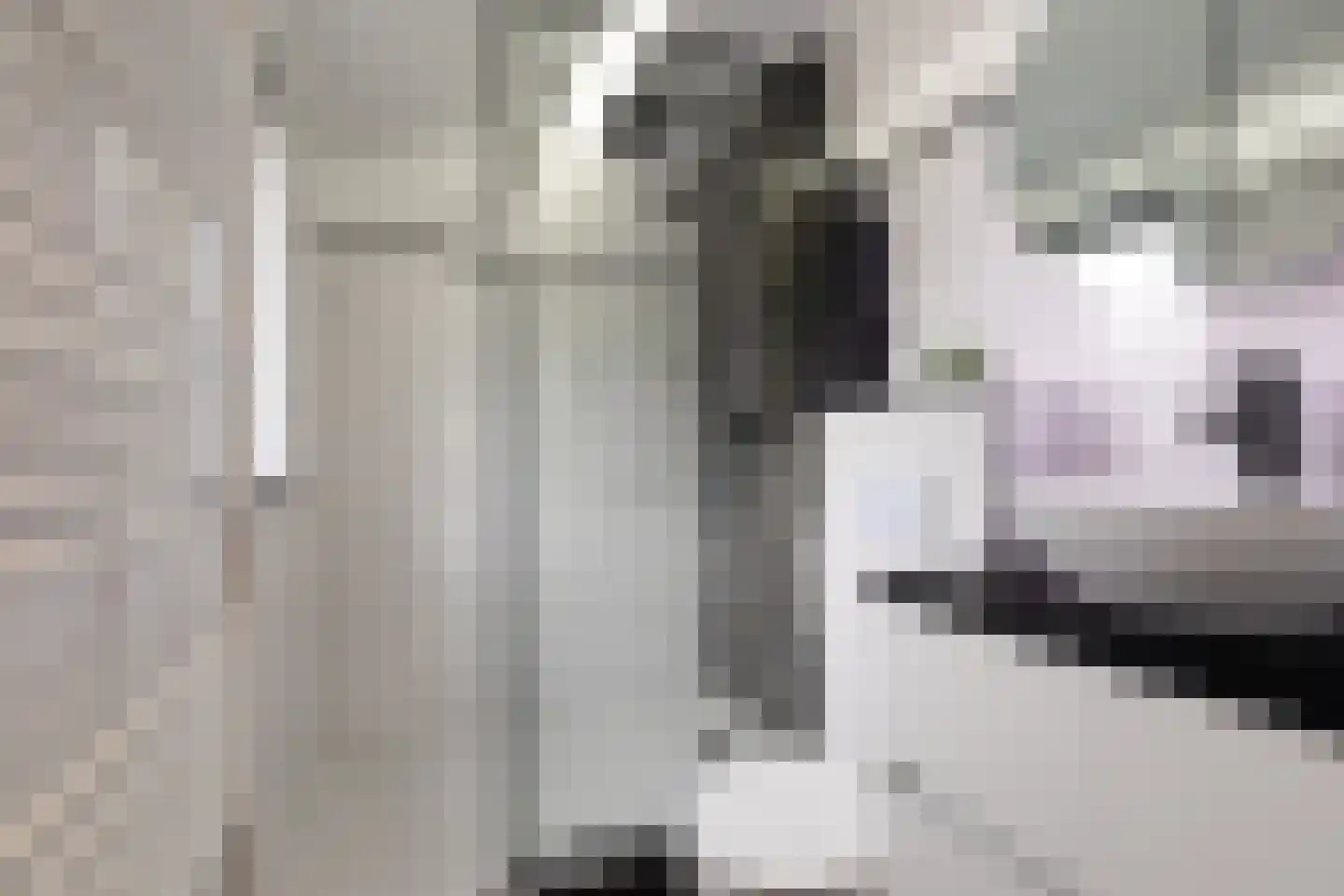 Bato'sweg 11 C 39 Putten thumbnail 22