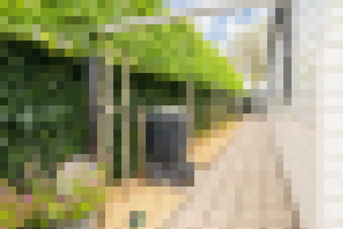 Bato'sweg 11 C 39 Putten thumbnail 9