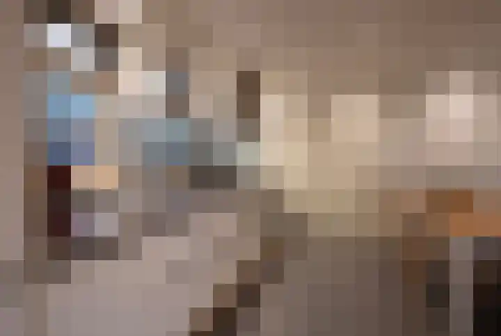Bato'sweg 12 Putten thumbnail 12