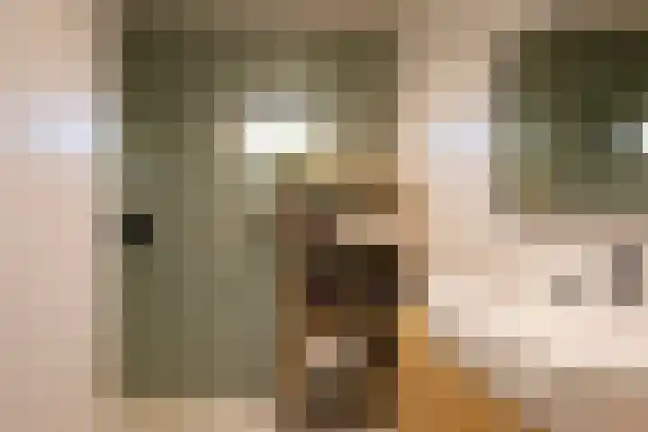 Bato'sweg 12 Putten thumbnail 22