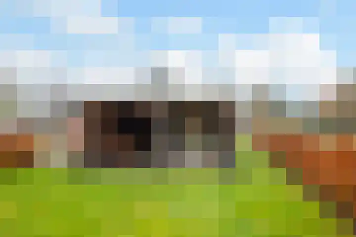 Bato'sweg 12 Putten thumbnail 28