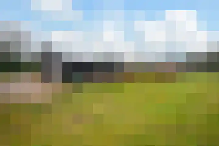 Bato'sweg 12 Putten thumbnail 31